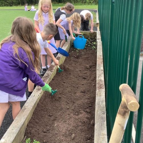 Looking after our environment